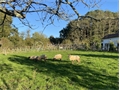 Photo numero 44741176 du bien UBI444563468